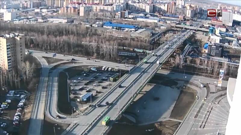    Застрявшего в стене магазина кота спасли в Тюмени