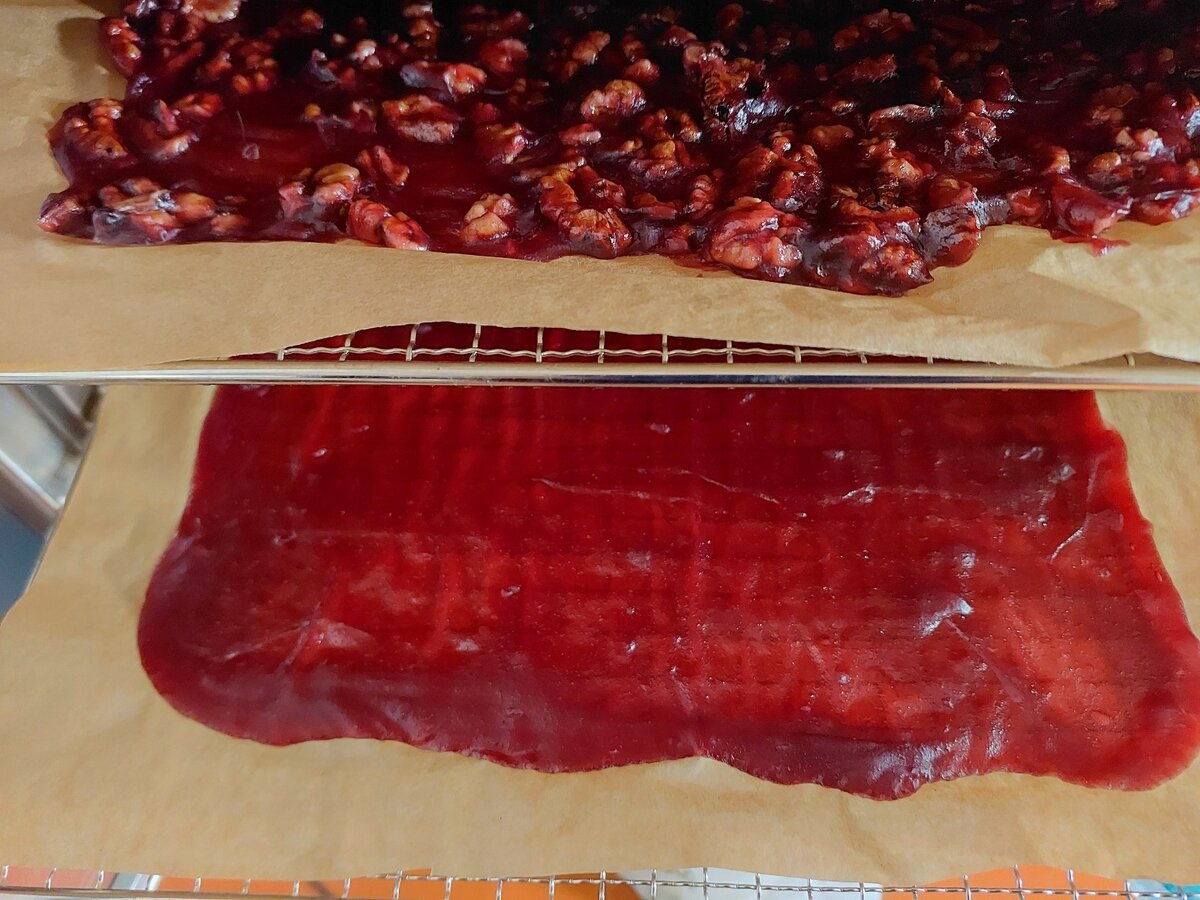 Пастила в дегидраторе