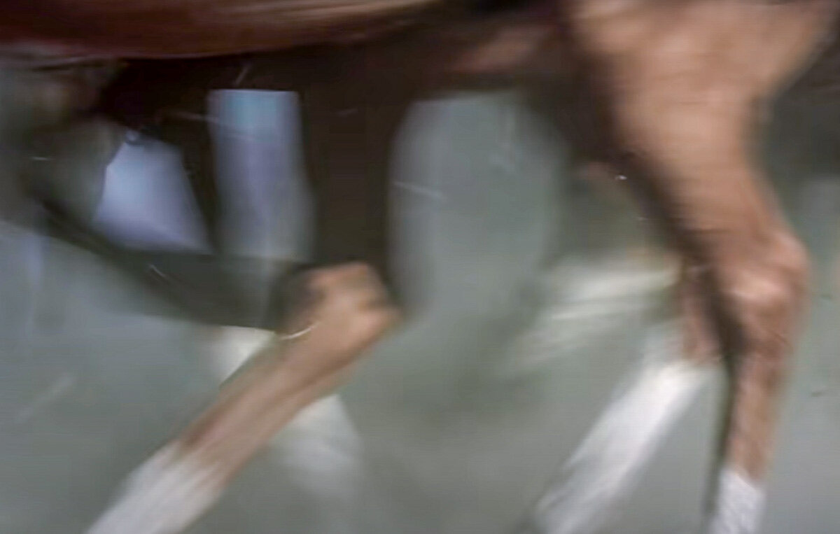 Лучшим фильмом Михаила Калатозова считаются "Летят журавли", но мне больше всего нравятся "Верные друзья". Михаил Константинович Калатозишвили родился 15 (28) декабря 1903 года в Тифлисе.-7