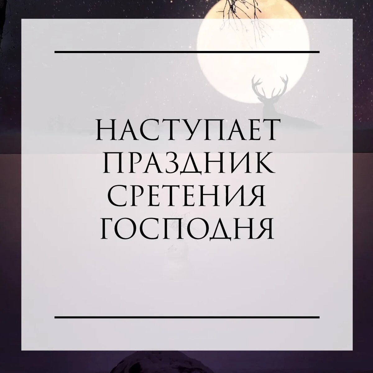 15 ФЕВРАЛЯ 