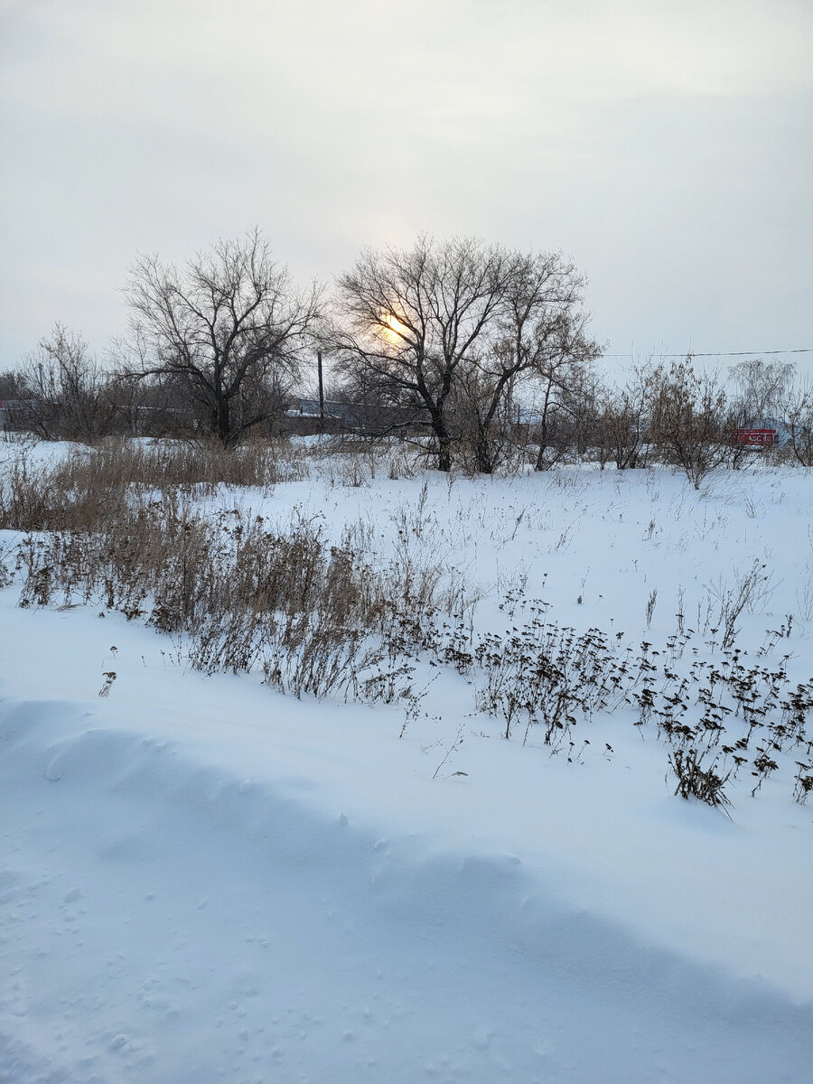 Фото автора, на прогулке