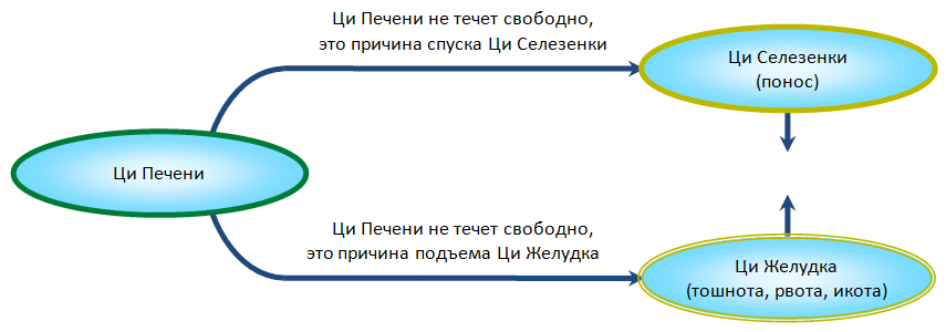 Подобные состояния описываются в китайской медицине как "Дерево не оказывает двигающего действия на Землю" (му бу шу ту, 木不疏土).