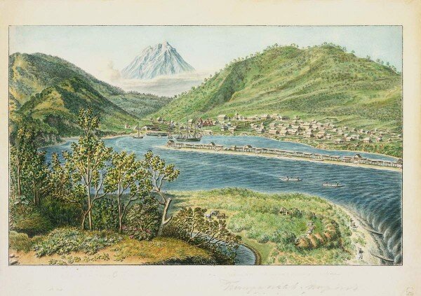 Вид Петропавловской гавани с Сигнального мыса