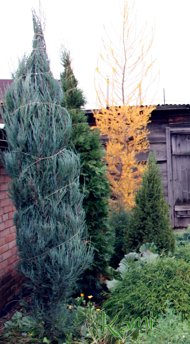 беру либо натуральный шпагат, либо ленты и ткани, они даже лучше надежнее..