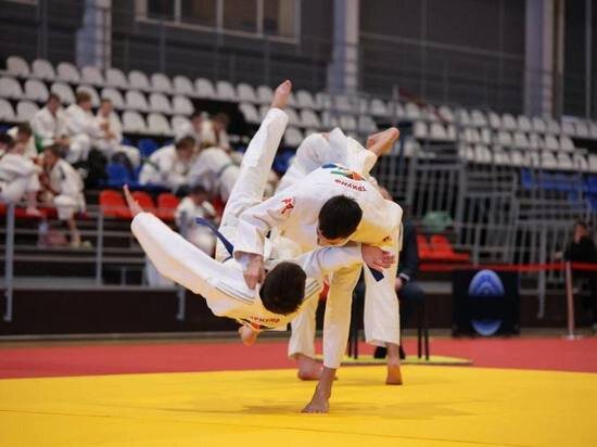    В Хабаровском крае стартовало первенство округа по дзюдо. Фото: правительство Хабаровского края