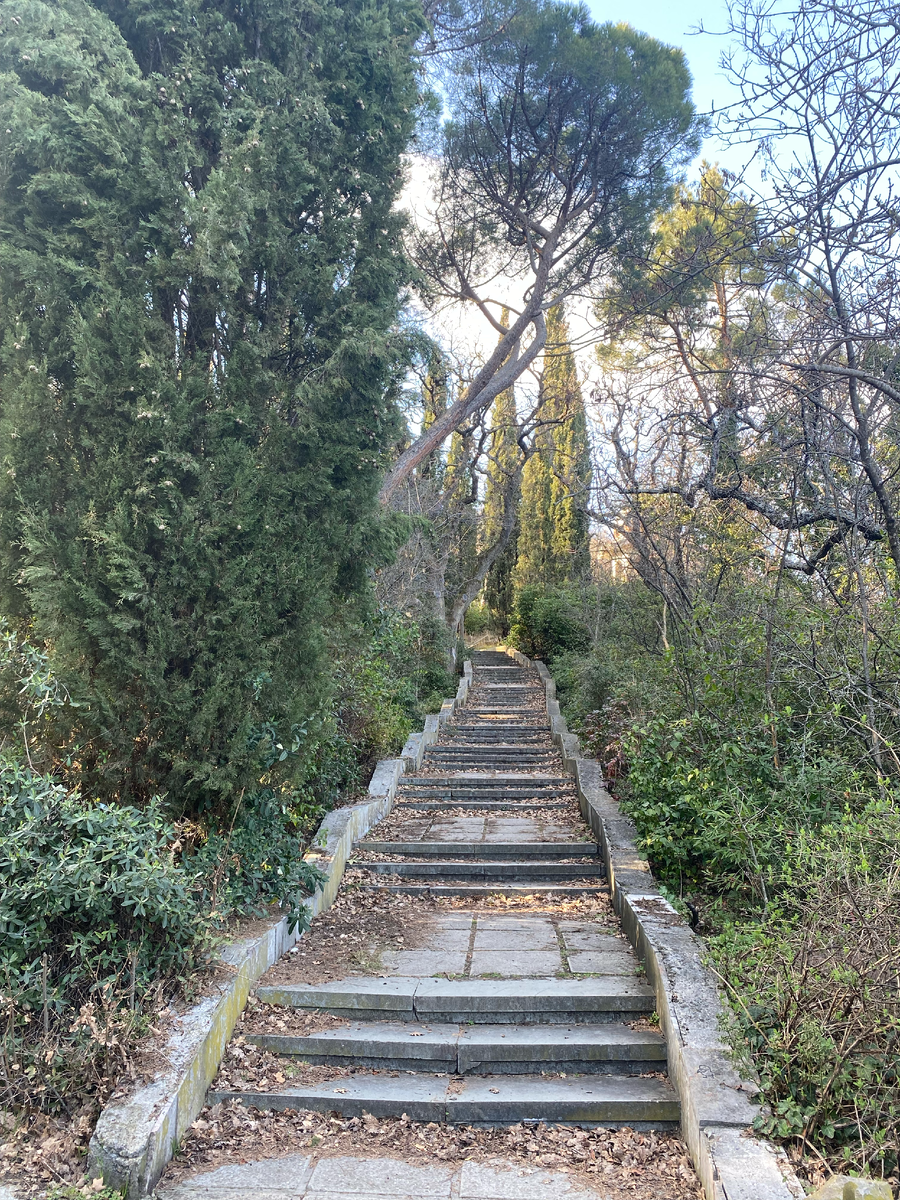 Ступеньки к Турецкой беседке