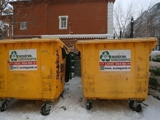     ФОТО: ГУСТАВО ЗЫРЯНОВ / МК В НОВОСИБИРСКЕ