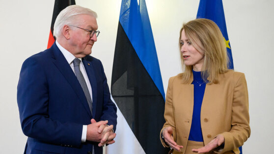    Каллас и Штайнмайер обсудили в Таллине увеличение военной помощи Украине Юлия Шелковенко