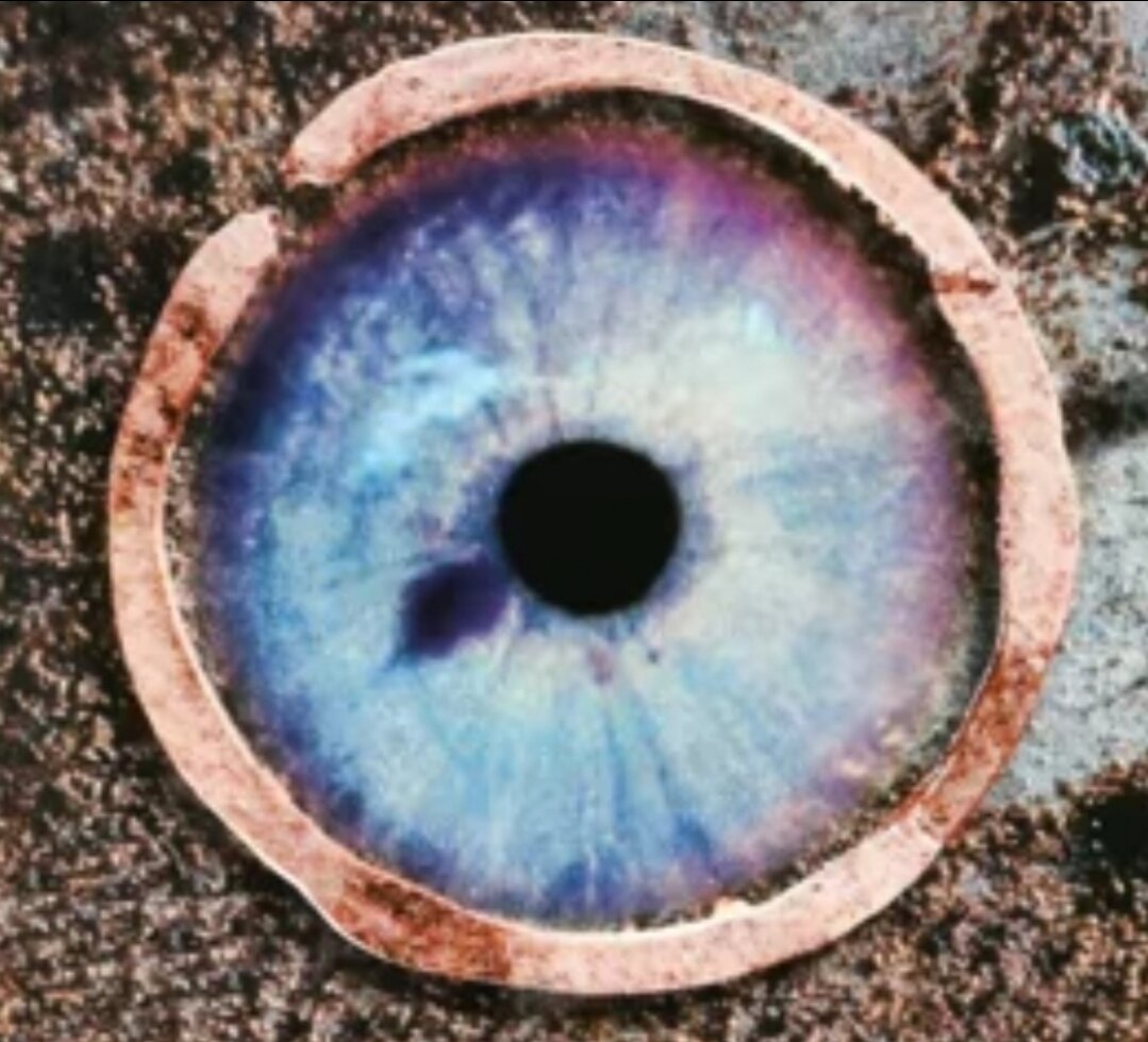 Фото с глазом из интернета 