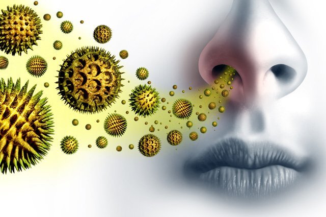    Какие виды аллергии самые распространенные и почему она возникает?