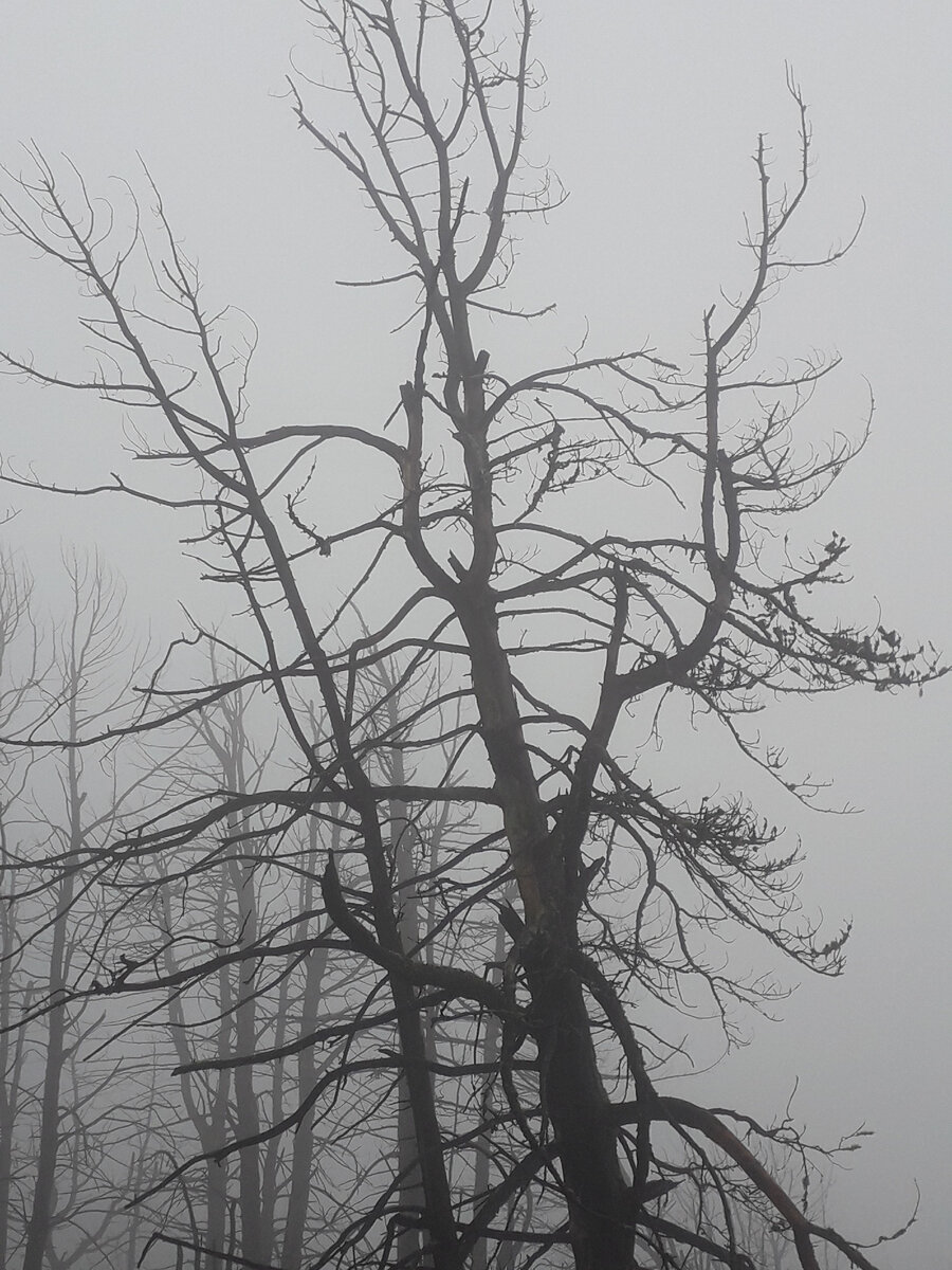 и таинственности