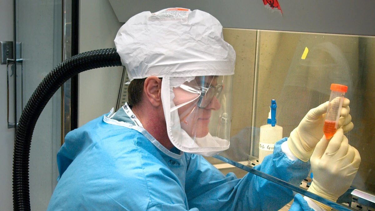 Фото: pxhere.com