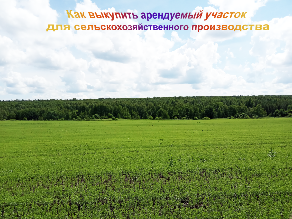 Предоставление земельного участка крестьянско фермерскому хозяйству