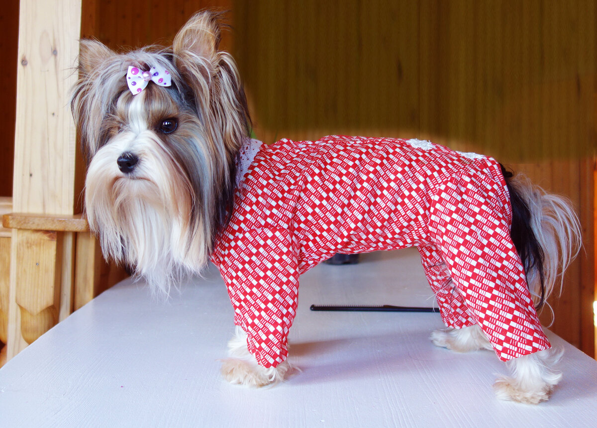 Моя Соня в обновке