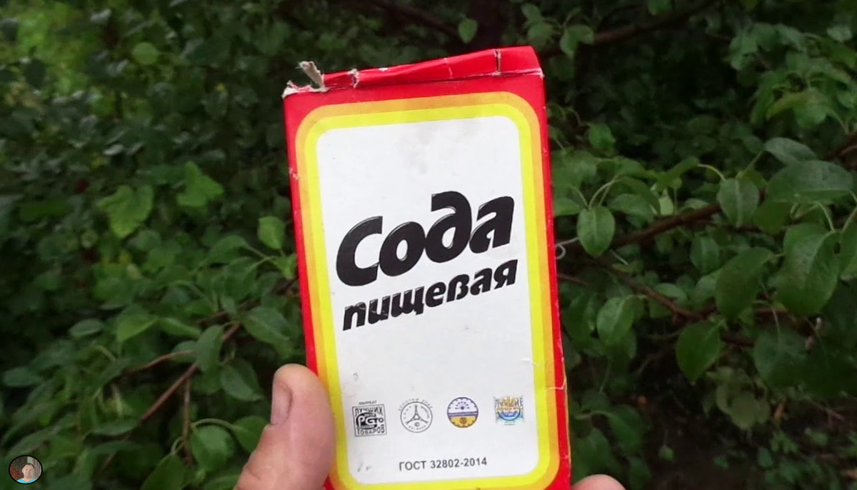 Обычная пищевая сода