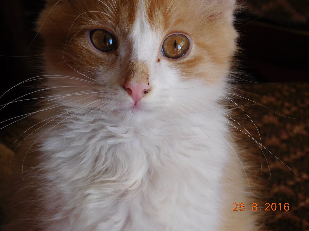 На следующий день после того, как мы его нашли.