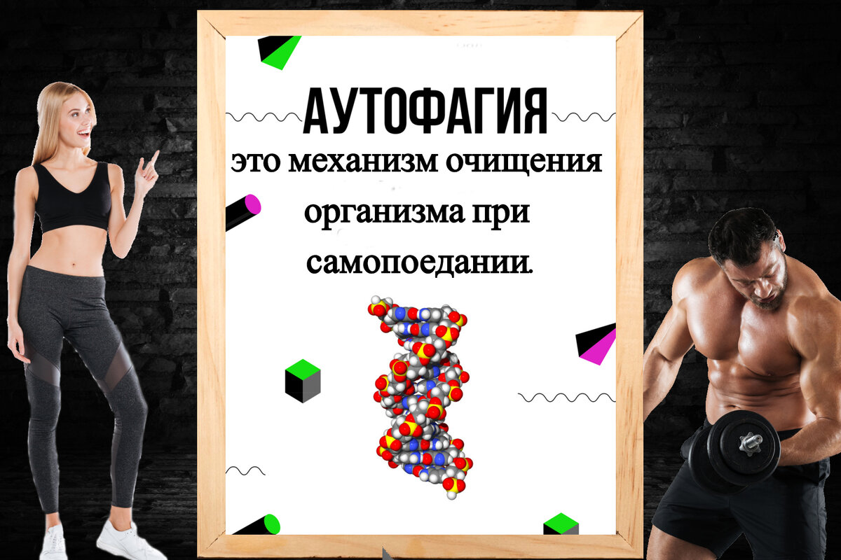 Подписывайтесь на канал, так вы поддержите автора, и будете своевременно получать новые полезные статьи. Не забудьте поставить лайк и оставить комментарий!