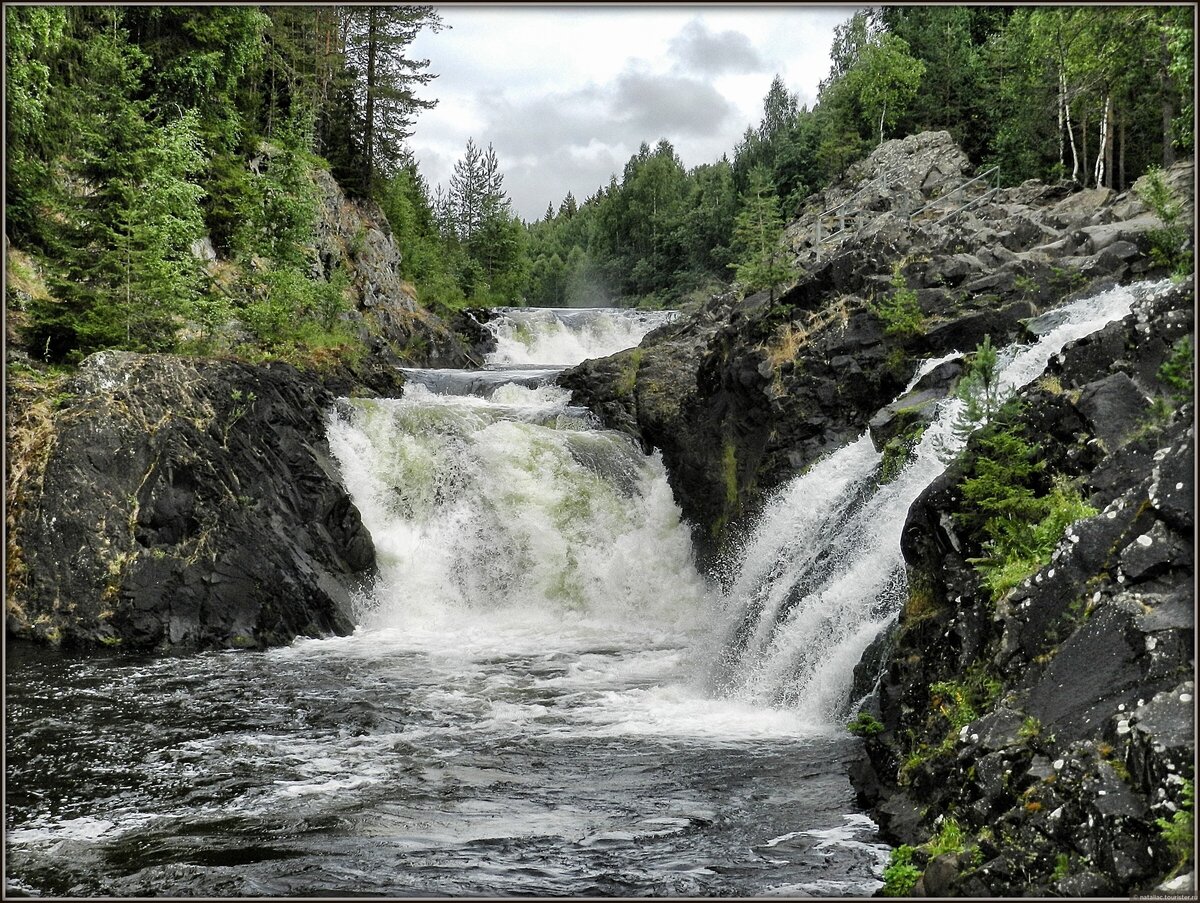 Кивач Амур