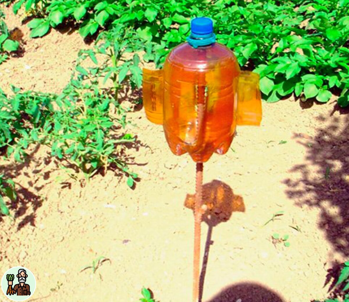 Змеи существа глухие, но они отлично чувствуют вибрации