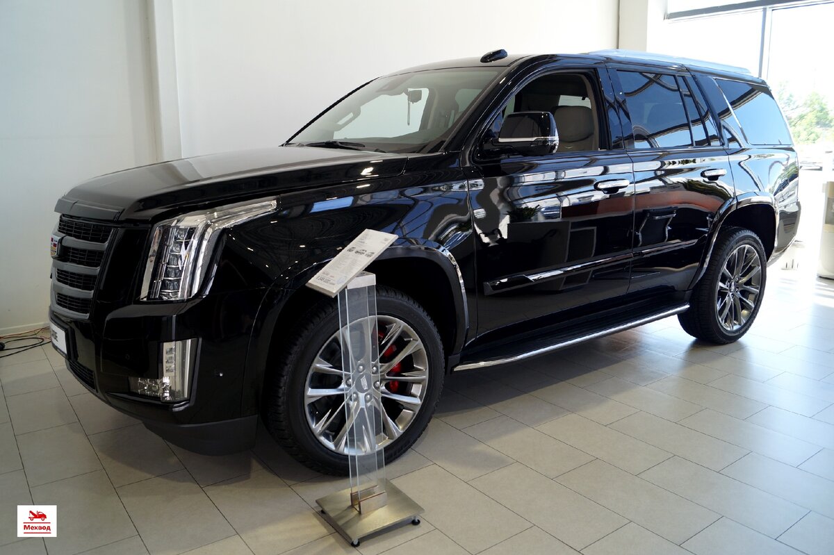 Cadillac Escalade 2019 года выпуска 