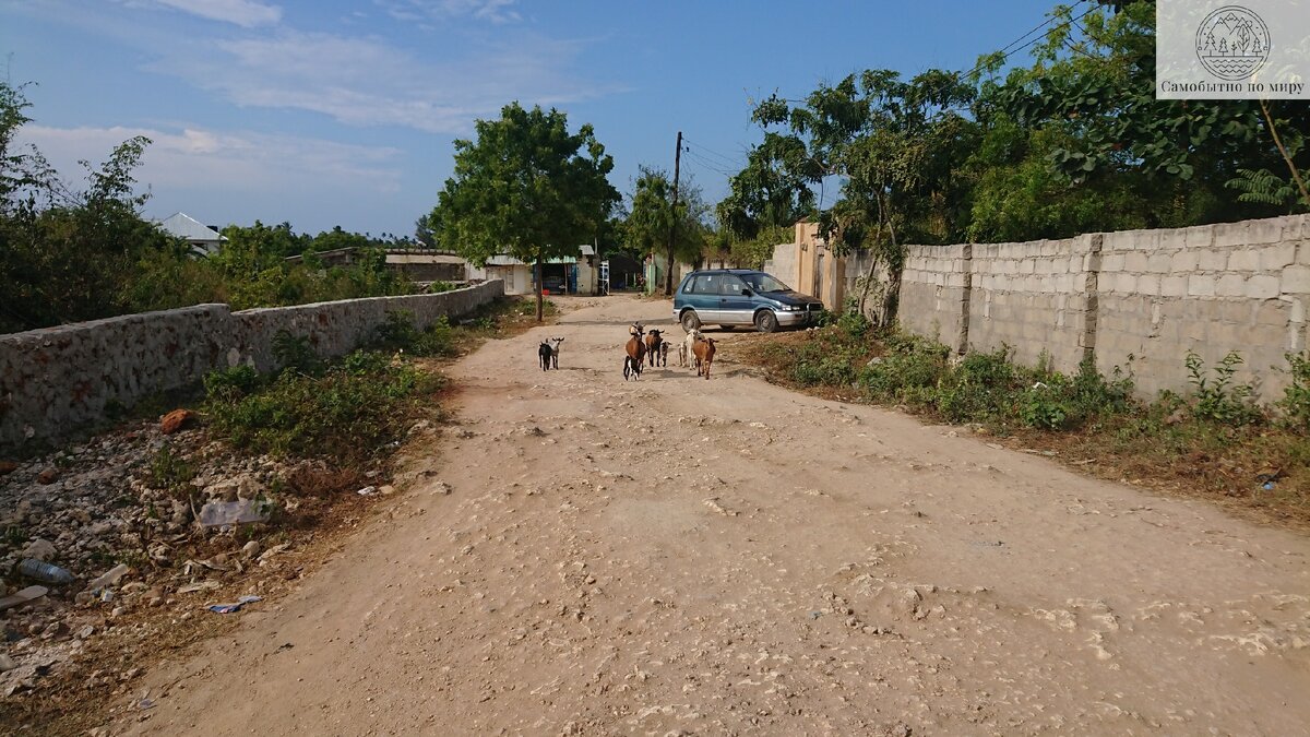 по дороге от отеля к морю