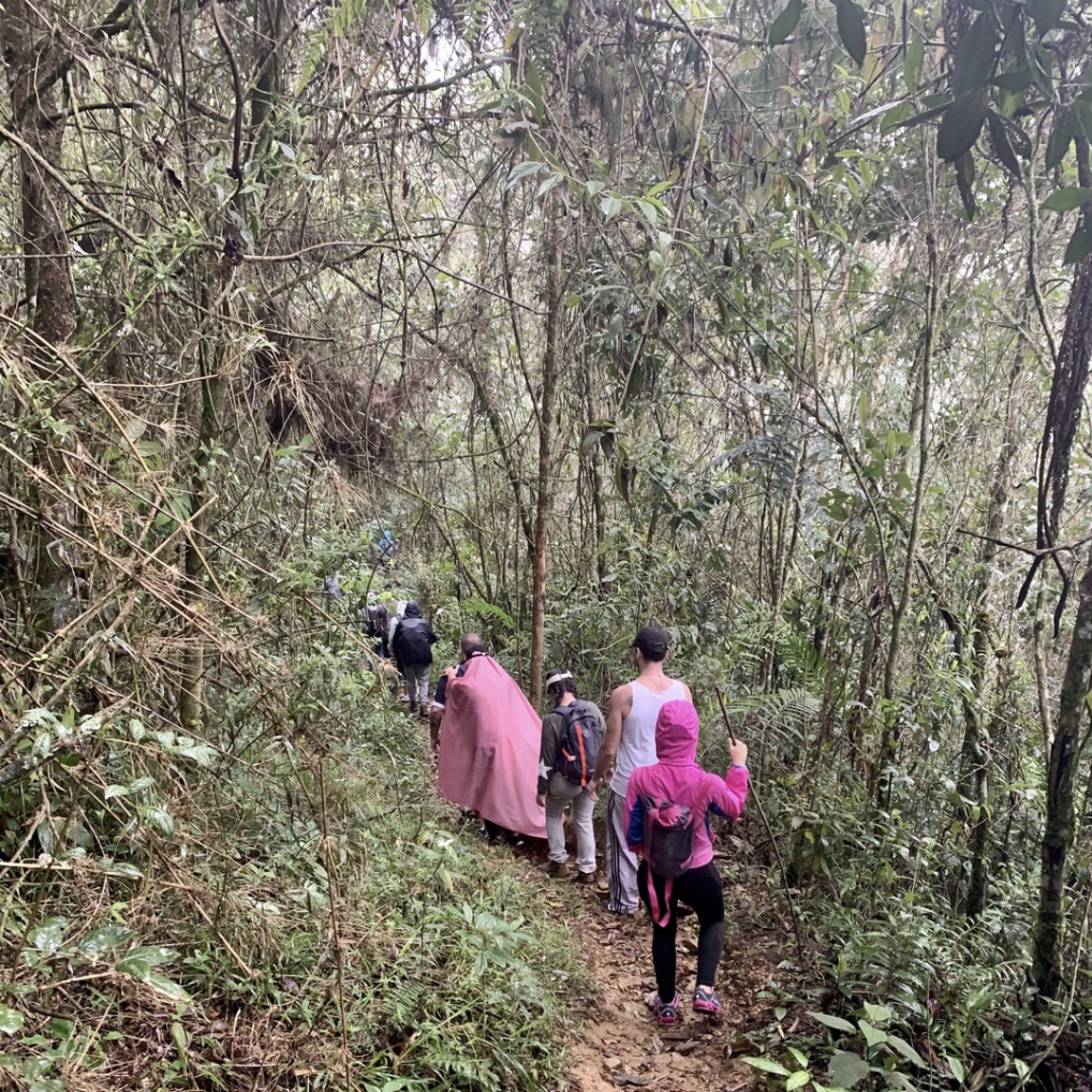 любознательные кочевники ползут под дождем навстречу приключениям.