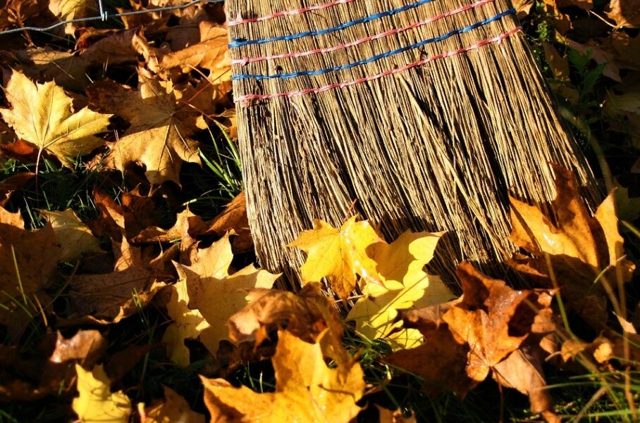 Фото: pasja1000, pixabay.com