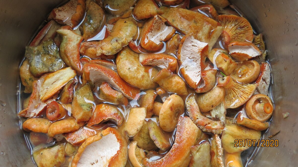 Вот эти с белым низом - это и есть" глухие" рыжики. Они выглядят, как больные, но это на вкус не влияет, наоборот - улучшает.