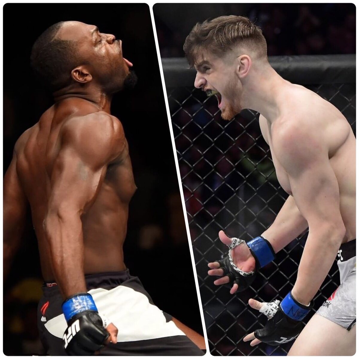 Эдмена Шахбазяна (11-0) и прожженного ветерана Дерека Брансона (20-7). 