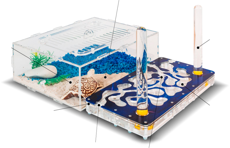 акриловый формикарий