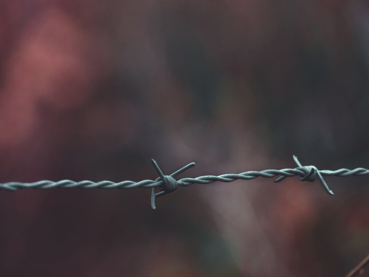 "Богатые тоже зомби", Екатерина Широкова. Фото Дэвида Бока на Unsplash