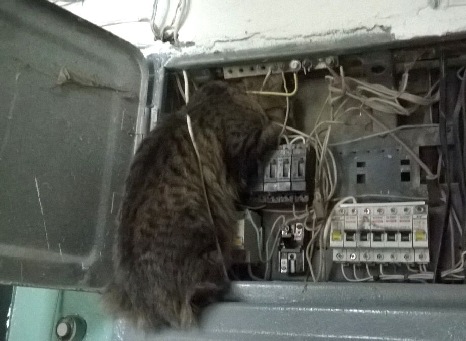 фото взято из свободных источников 