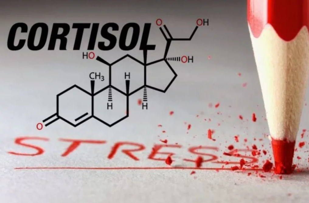 Гормон бодрости. Кортизол гормон. Стресс кортизол. Кортизол картинки. Кортизол гормон стресса.