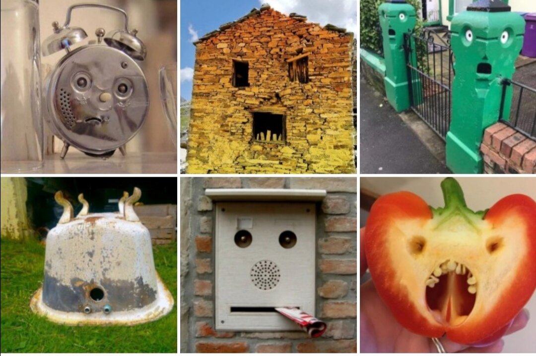Коллаж создан из фотографий Яндекс-картинок  