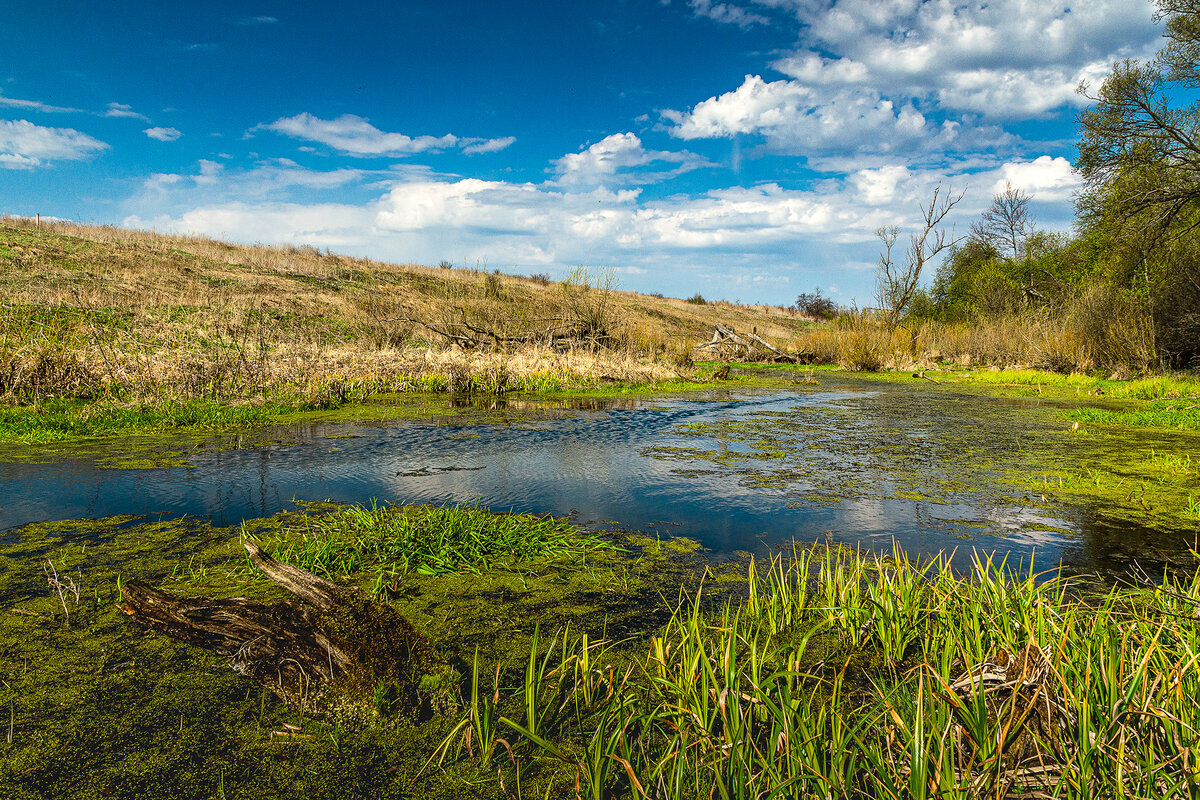 Раннее утро на берегу тихой реки, вдали от любых признаков цивилизации: только ты, природа и чай. Фото Сельсовет