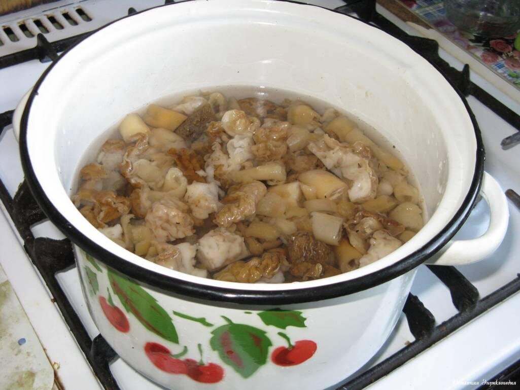 Как приготовить сморчки грибы вкусно на сковороде