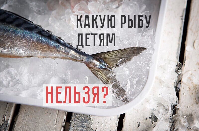 Какую рыбу нельзя ловить с 1 апреля. Какую рыбу нельзя ловить. Рыба которую нельзя есть. Какую рыбу нельзя детям. Трогать рыб нельзя красивое