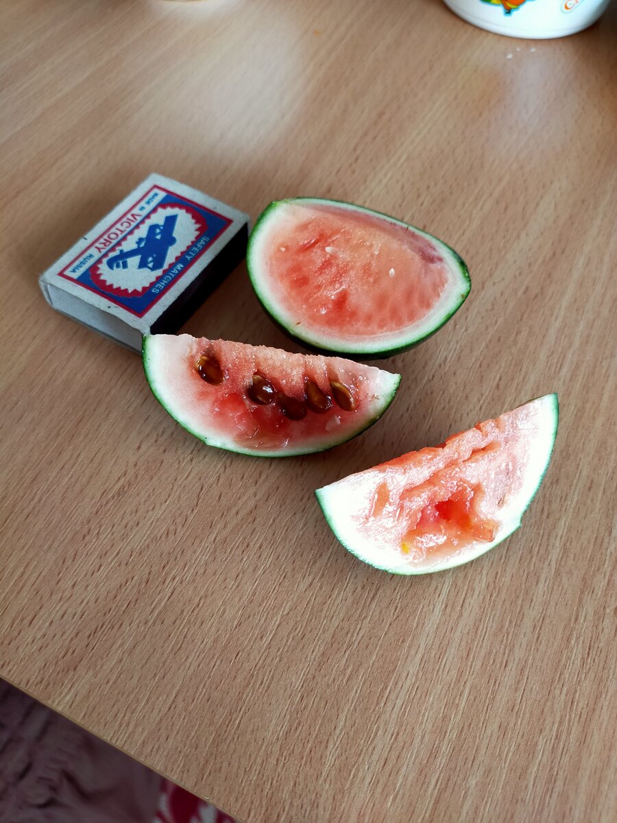 Урожай с папеного огорода, спасибо)