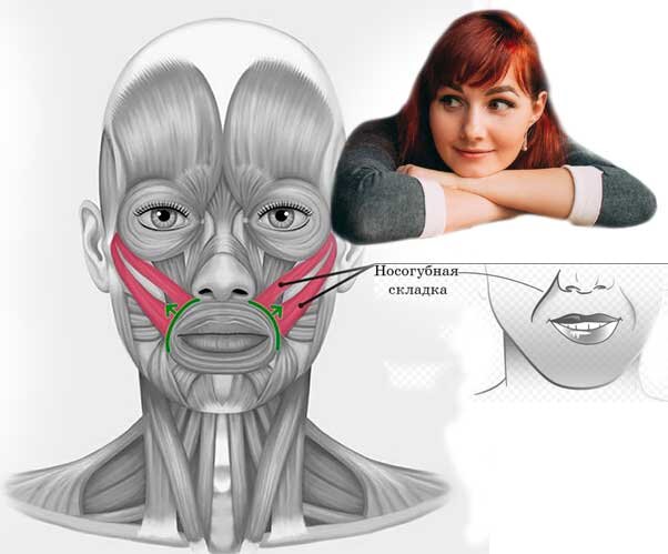 Смотрите, откуда она берется