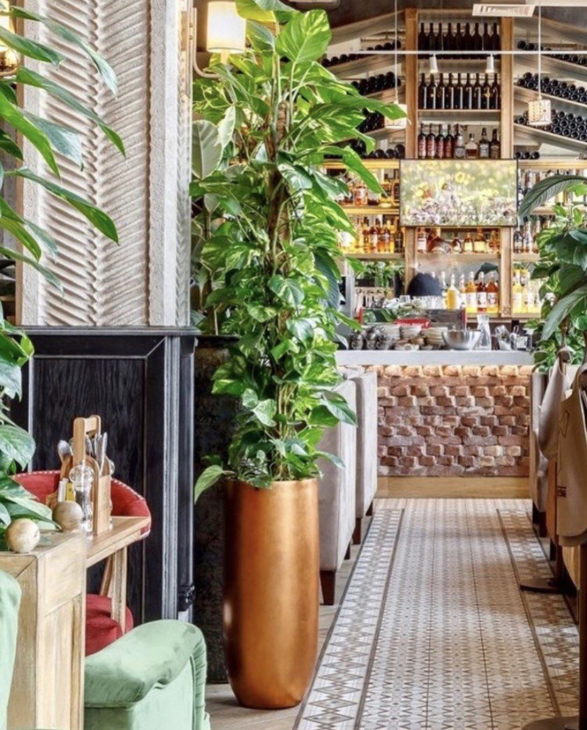 Кашпо марки Treez Effectory, серия Metal, арт. 41.3317-04-014-CP Высокий округлый конус цвет Медь.