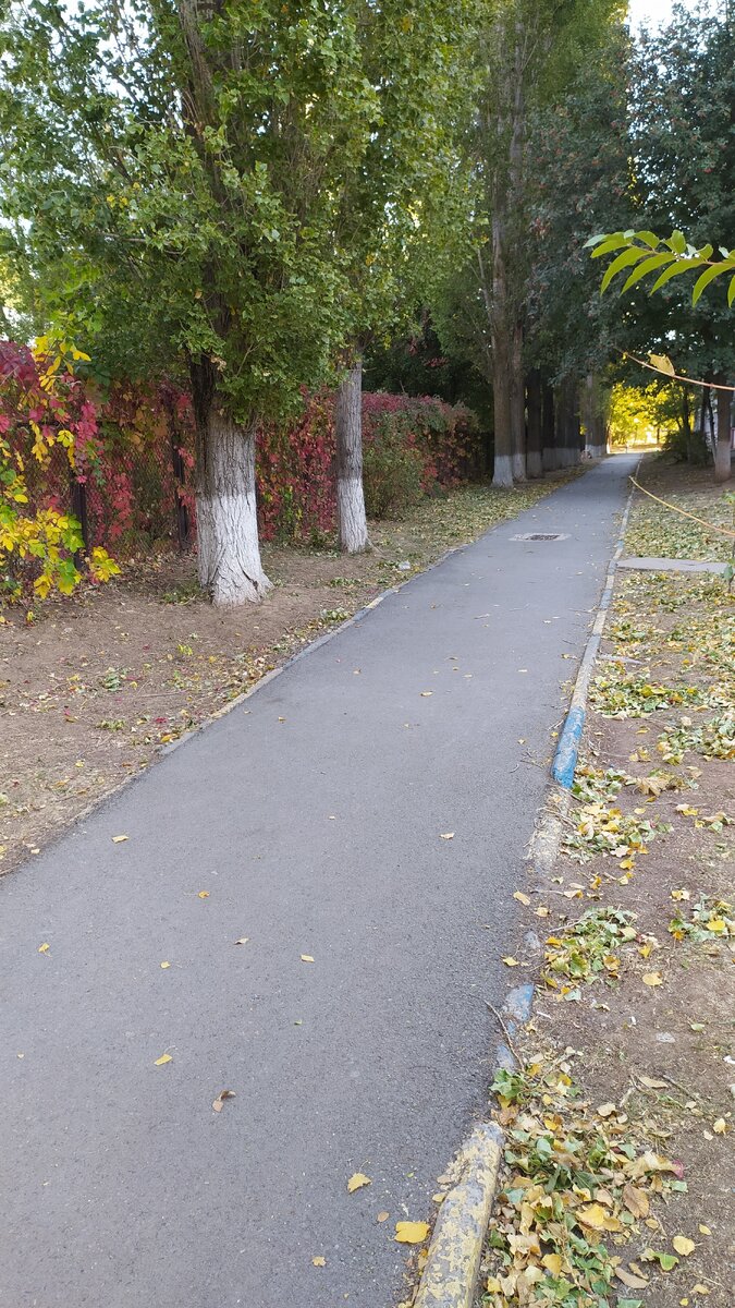 Просто осень