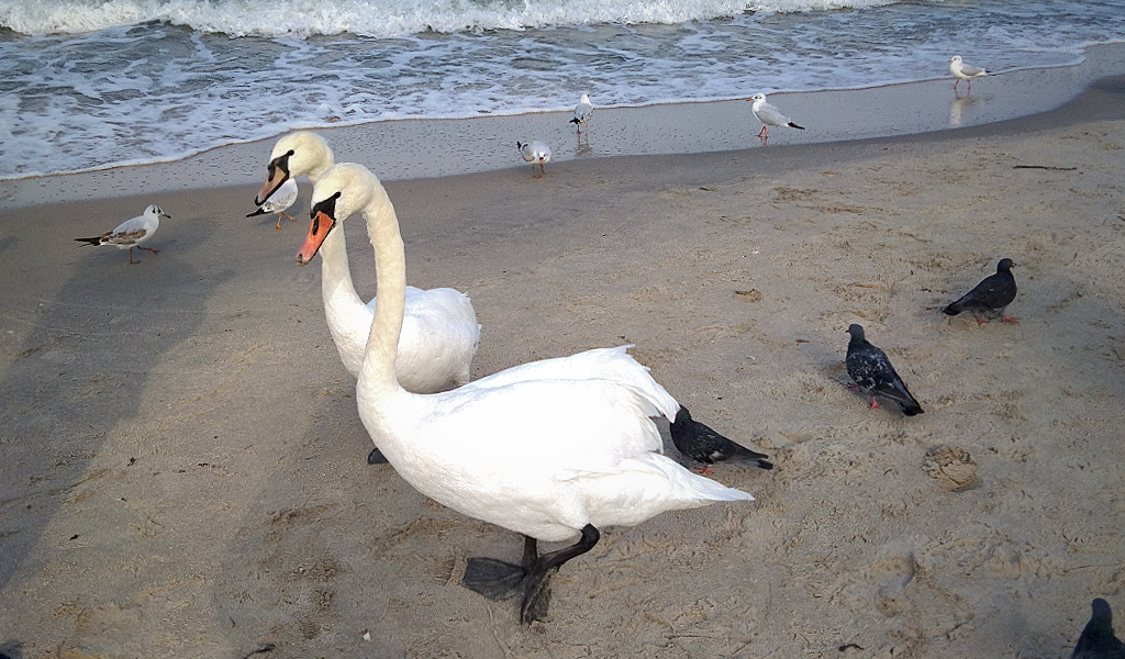 Фотографии автора