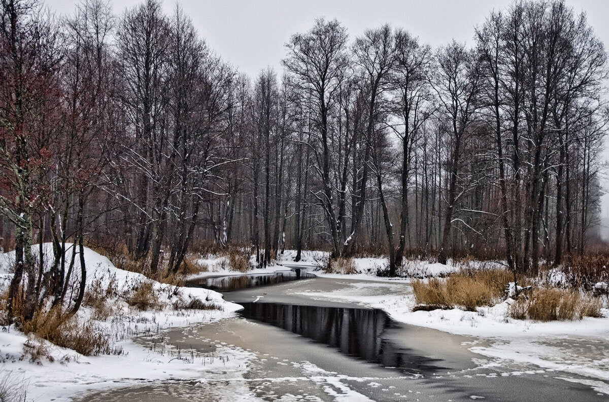 https://cdn.photosight.ru/img/9/828/4863997_large.jpg
