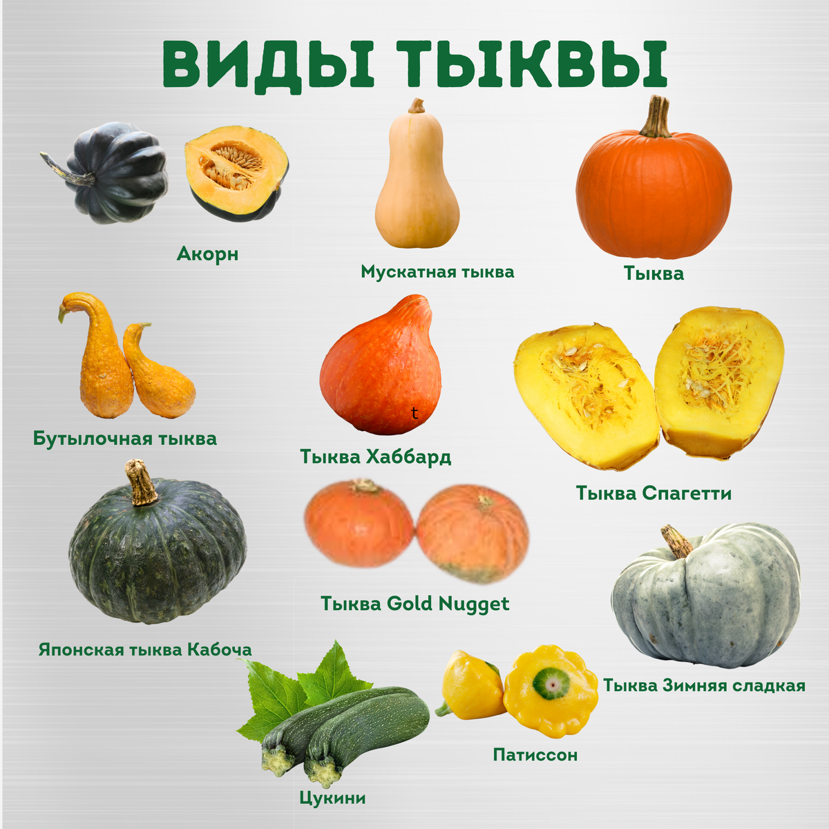 Разновидности тыквы фото и названия и описание