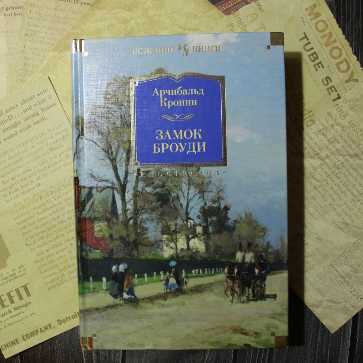 Замок Броуди-роман о семейном насилии | Читательский дневник 📒 | Дзен