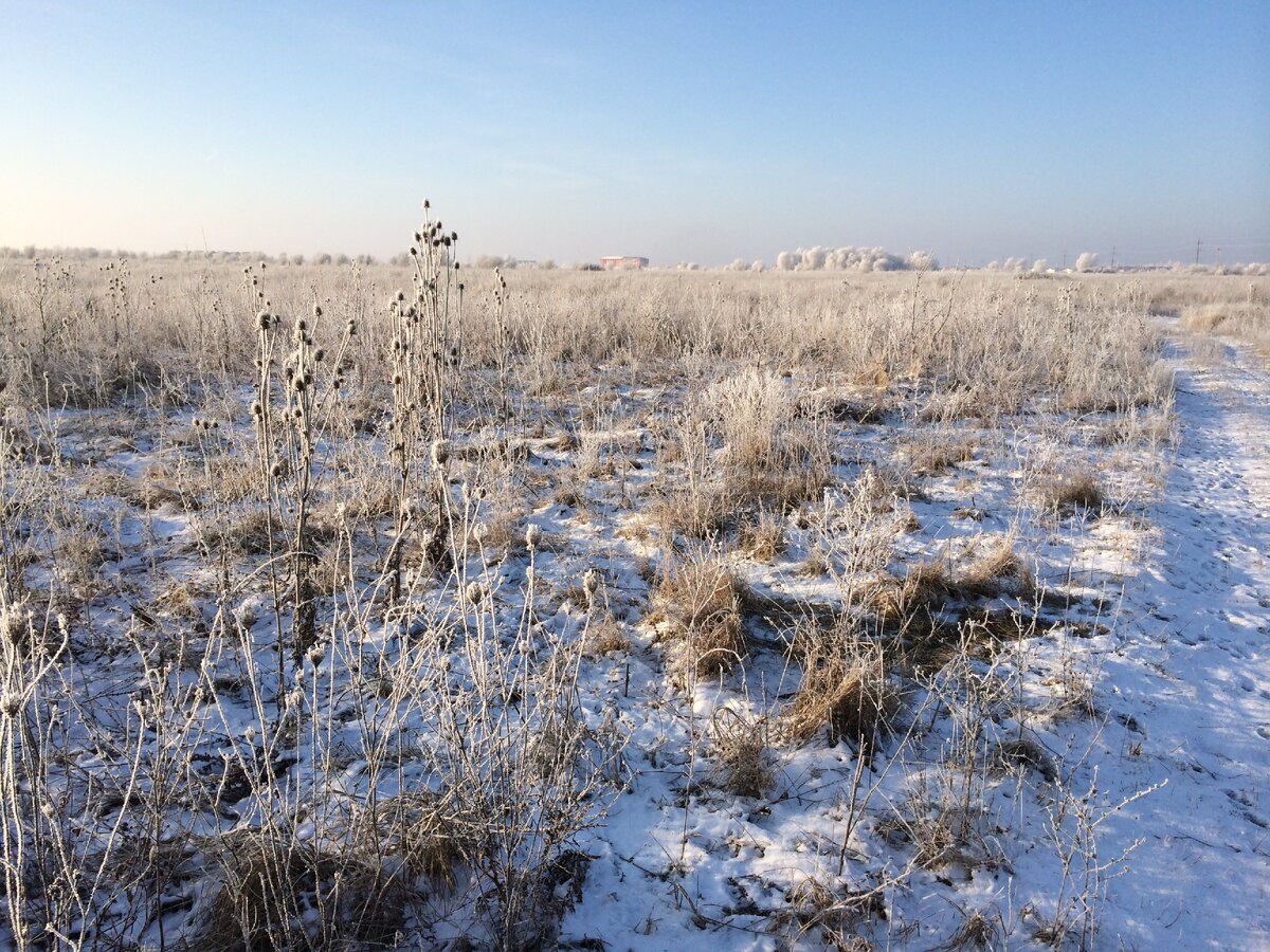 Растаяли почти. Суровые зимы на Кубани. Верхний Дон снег Кубань. Климат Кубани фото. Изображение голого поля зимой на Кубани.