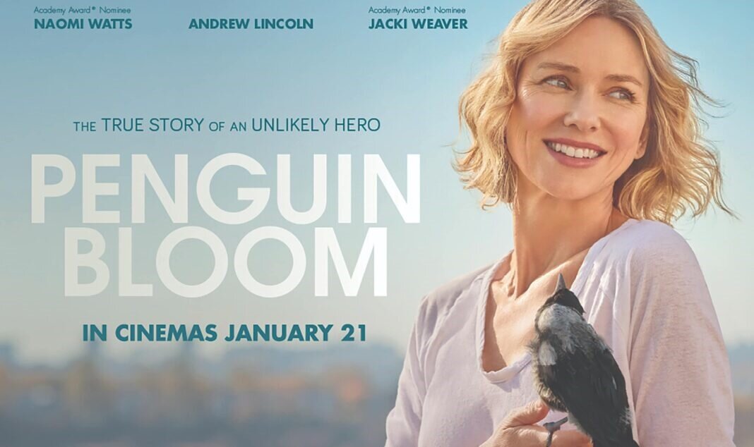 Постер фильма "История семьи Блум"