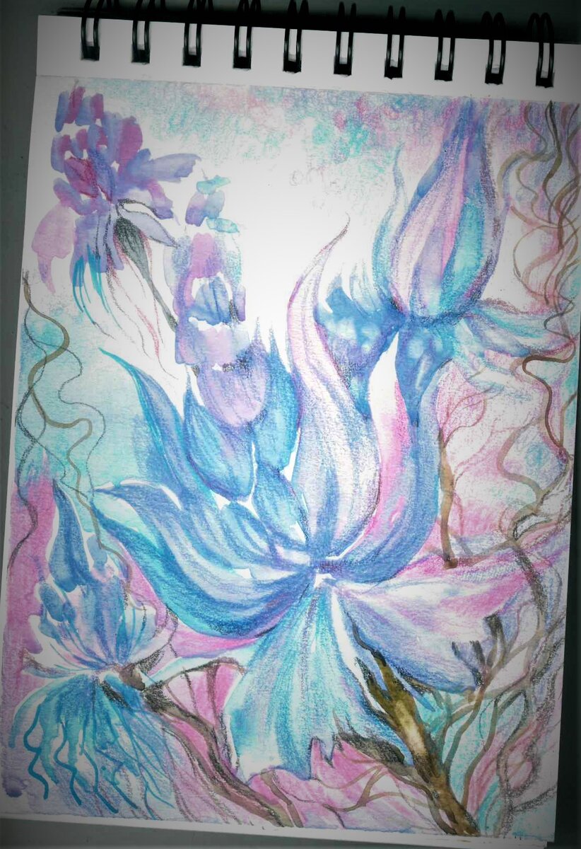 Рисунок автора