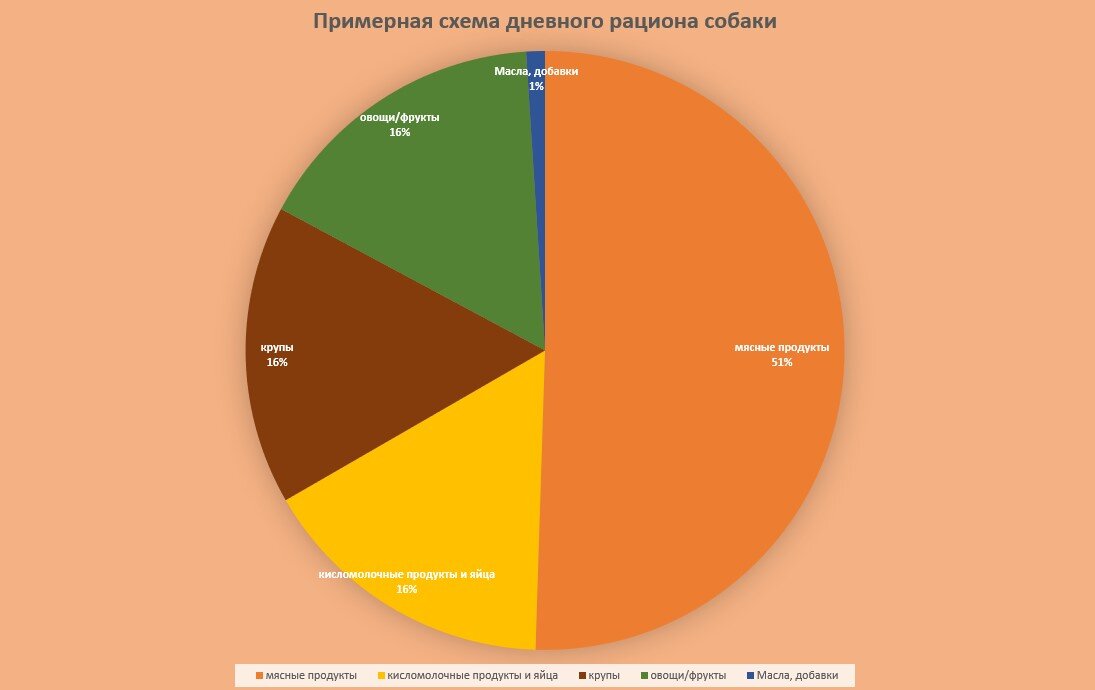 Примерная схема составления суточного рациона собаки