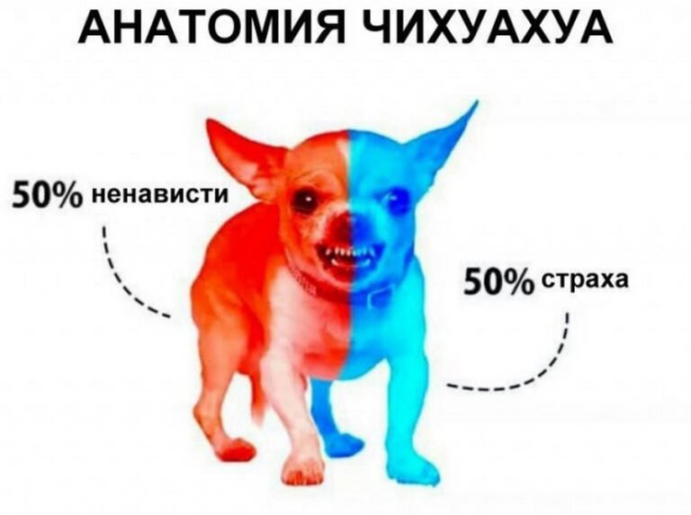 Источник фото: ribalych.ru